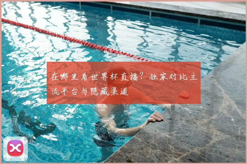 在哪里看世界杯直播？独家对比主流平台与隐藏渠道