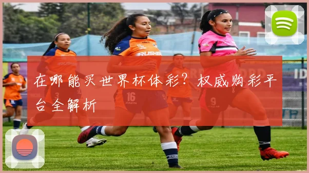在哪能买世界杯体彩？权威购彩平台全解析