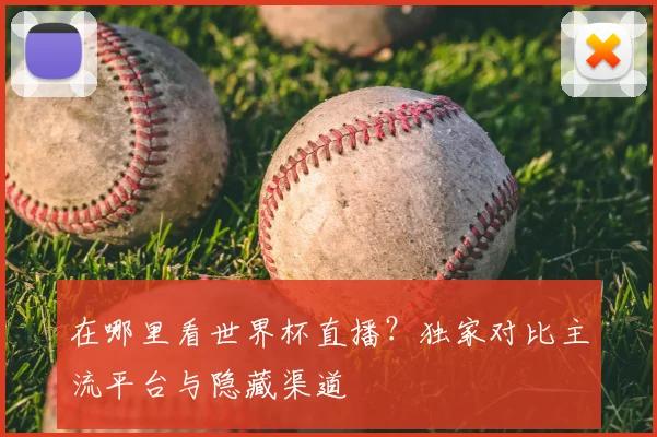 在哪里看世界杯直播？独家对比主流平台与隐藏渠道
