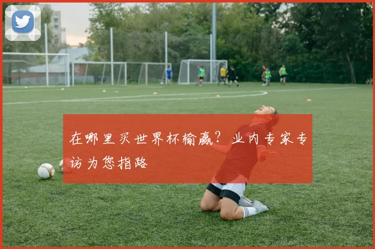 在哪里买世界杯输赢？业内专家专访为您指路