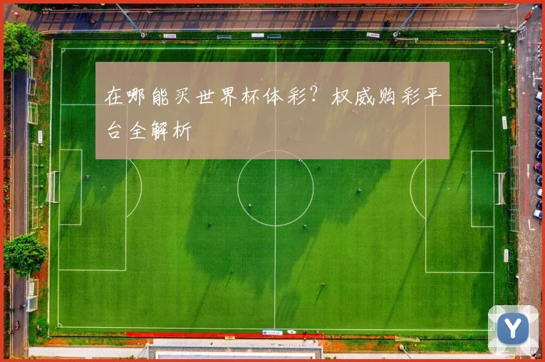 在哪能买世界杯体彩？权威购彩平台全解析