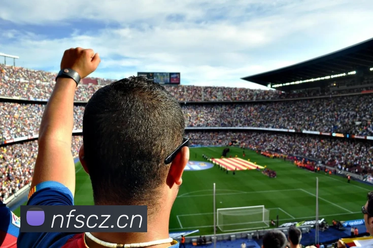 星空体育官网登陆APP 封面图